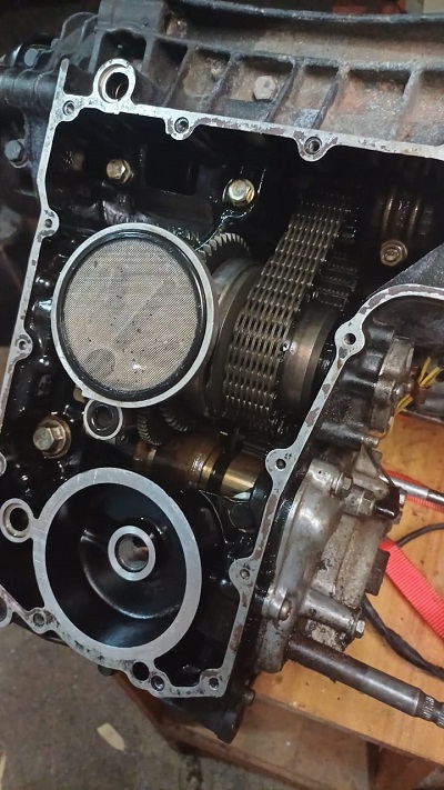 The guts of the beast